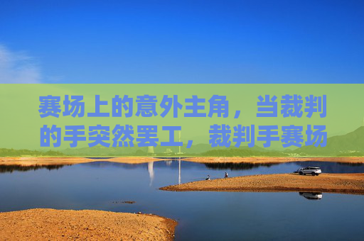 赛场上的意外主角,当裁判的手突然罢工,裁判手赛场罢工,意外成主角