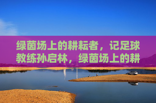 绿茵场上的耕耘者，记足球教练孙启林，绿茵场上的耕耘者——孙启林