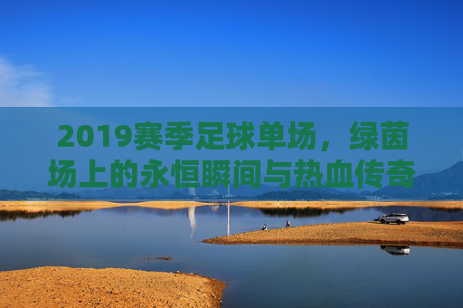 2019赛季足球单场,绿茵场上的永恒瞬间与热血传奇,2019赛季足球单场,绿茵永恒瞬间与热血传奇