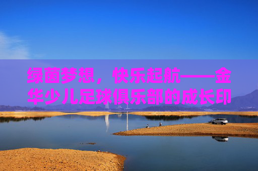 绿茵梦想，快乐起航——金华少儿足球俱乐部的成长印记，绿茵梦想，快乐成长——金华少儿足球俱乐部的印记