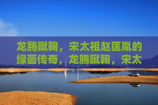 龙腾蹴鞠,宋太祖赵匡胤的绿茵传奇,龙腾蹴鞠,宋太祖赵匡胤的绿茵传奇