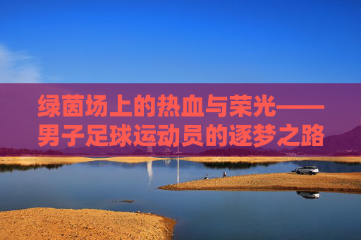 绿茵场上的热血与荣光——男子足球运动员的逐梦之路，绿茵热血荣光——男子足球逐梦之路