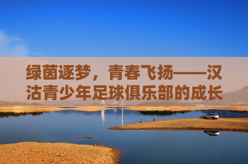 绿茵逐梦，青春飞扬——汉沽青少年足球俱乐部的成长故事，绿茵逐梦，青春飞扬——汉沽青少年足球俱乐部的成长故事