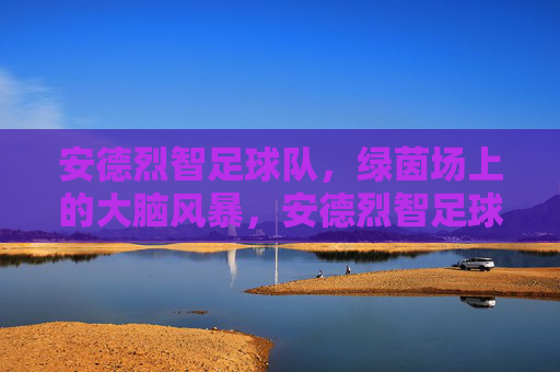 安德烈智足球队,绿茵场上的大脑风暴,安德烈智足球队,绿茵大脑风暴
