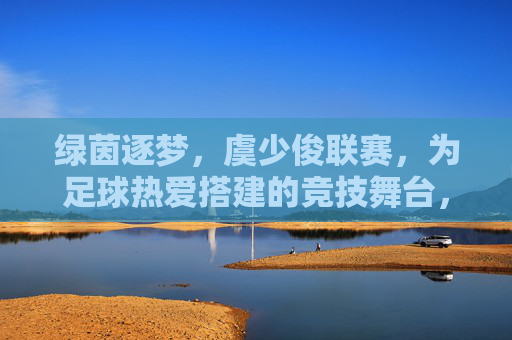 绿茵逐梦,虞少俊联赛,为足球热爱搭建的竞技舞台,虞少俊联赛,为足球热爱搭建的逐梦舞台