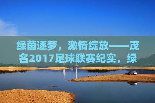 绿茵逐梦,激情绽放——茂名2017足球联赛纪实,绿茵逐梦,激情绽放——茂名2017足球联赛纪实