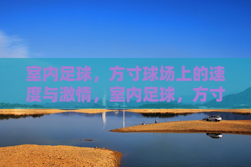 室内足球，方寸球场上的速度与激情，室内足球，方寸球场上的速度与激情