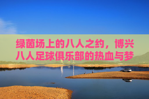 绿茵场上的八人之约,博兴八人足球俱乐部的热血与梦想,博兴八人,绿茵热血与梦想之约