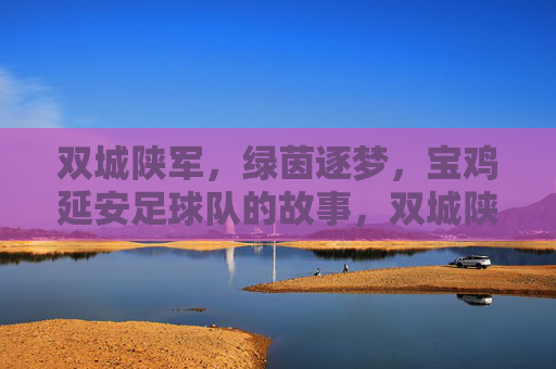 双城陕军,绿茵逐梦,宝鸡延安足球队的故事,双城陕军绿茵逐梦