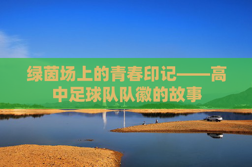 绿茵场上的青春印记——高中足球队队徽的故事