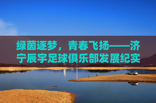绿茵逐梦,青春飞扬——济宁辰宇足球俱乐部发展纪实,济宁辰宇足球俱乐部,绿茵逐梦发展纪实