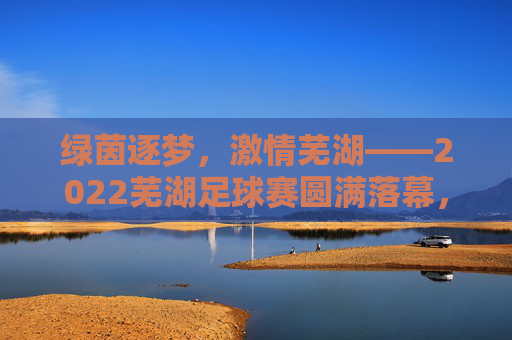 绿茵逐梦，激情芜湖——2022芜湖足球赛圆满落幕，绿茵逐梦，激情芜湖——2022芜湖足球赛圆满落幕