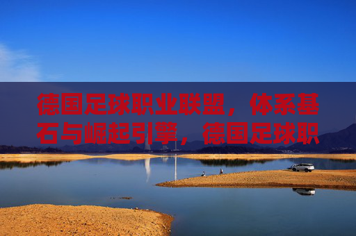 德国足球职业联盟,体系基石与崛起引擎,德国足球职业联盟,体系基石与崛起引擎