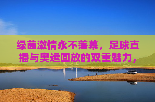 绿茵激情永不落幕，足球直播与奥运回放的双重魅力，绿茵激情永不落幕，足球直播与奥运回放的双重魅力