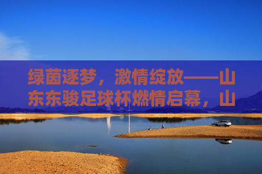 绿茵逐梦,激情绽放——山东东骏足球杯燃情启幕,山东东骏足球杯燃情启幕