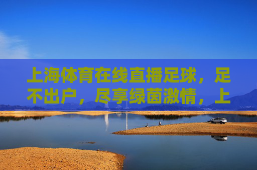 上海体育在线直播足球，足不出户，尽享绿茵激情，上海体育在线直播足球，足不出户尽享绿茵激情