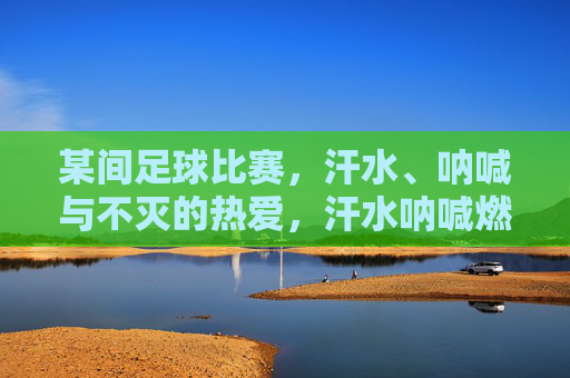 某间足球比赛，汗水、呐喊与不灭的热爱，汗水呐喊燃热爱，足球场内情不灭