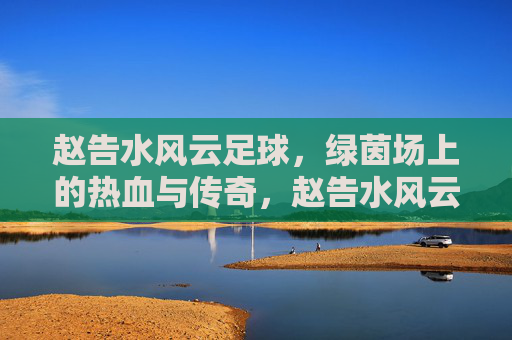 赵告水风云足球，绿茵场上的热血与传奇，赵告水风云足球，绿茵热血传奇