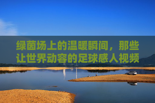 绿茵场上的温暖瞬间,那些让世界动容的足球感人视频,绿茵温情,那些让世界动容的足球感人瞬间