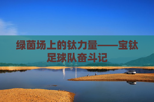绿茵场上的钛力量——宝钛足球队奋斗记