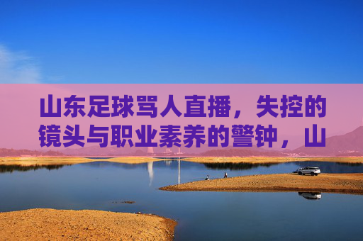 山东足球骂人直播,失控的镜头与职业素养的警钟,山东足球直播骂人,失控镜头敲响职业素养警钟