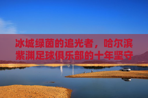 冰城绿茵的追光者,哈尔滨紫渊足球俱乐部的十年坚守,冰城绿茵追光者,哈尔滨紫渊十年坚守