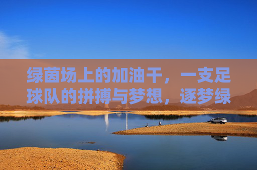 绿茵场上的加油干,一支足球队的拼搏与梦想,逐梦绿茵,足球队的拼搏与梦想