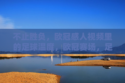 不止胜负，欧冠感人视频里的足球温度，欧冠赛场，足球的温度不止胜负