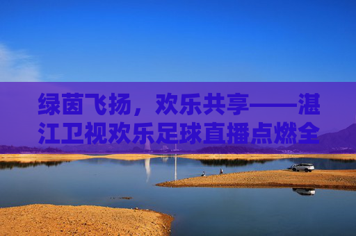 绿茵飞扬,欢乐共享——湛江卫视欢乐足球直播点燃全民足球热情,湛江卫视欢乐足球直播点燃全民足球热情