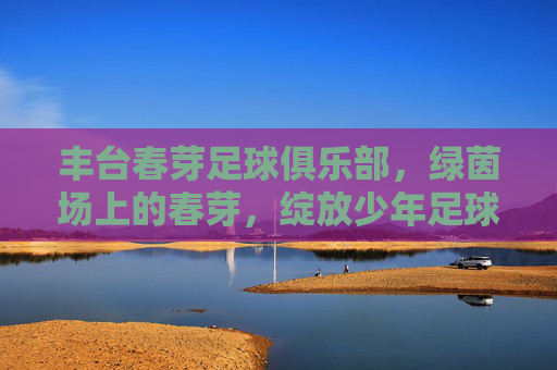 丰台春芽足球俱乐部,绿茵场上的春芽,绽放少年足球梦,绿茵春芽绽少年足球梦