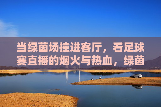 当绿茵场撞进客厅，看足球赛直播的烟火与热血，绿茵场撞进客厅，直播烟火与热血