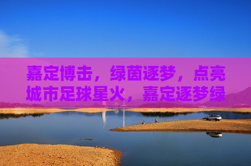 嘉定博击,绿茵逐梦,点亮城市足球星火,嘉定逐梦绿茵,点亮城市足球星火