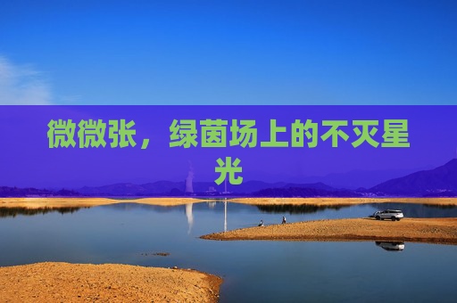 微微张,绿茵场上的不灭星光