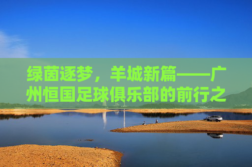 绿茵逐梦,羊城新篇——广州恒国足球俱乐部的前行之路,绿茵逐梦羊城新篇,广州恒国足球俱乐部前行之路