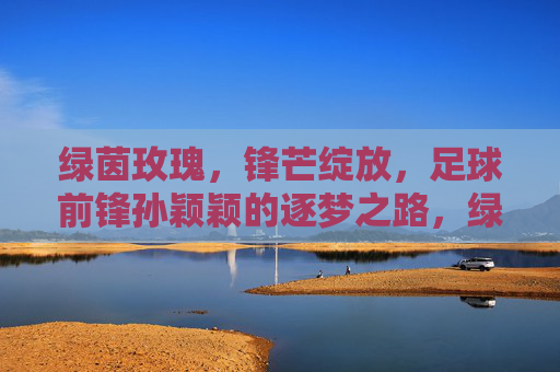 绿茵玫瑰，锋芒绽放，足球前锋孙颖颖的逐梦之路，绿茵玫瑰绽锋芒，孙颖颖的逐梦之路
