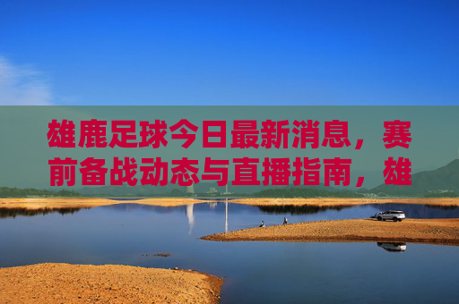 雄鹿足球今日最新消息，赛前备战动态与直播指南，雄鹿足球今日备战动态与直播指南