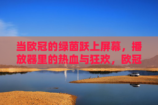 当欧冠的绿茵跃上屏幕，播放器里的热血与狂欢，欧冠绿茵跃屏幕，播放器里热血狂欢