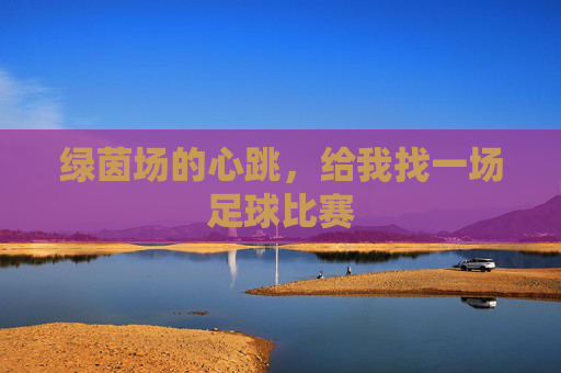 绿茵场的心跳,给我找一场足球比赛
