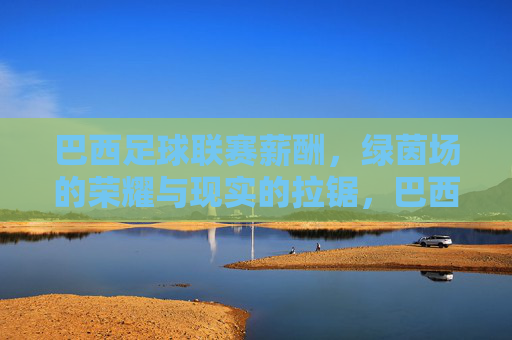 巴西足球联赛薪酬,绿茵场的荣耀与现实的拉锯,巴西足球联赛薪酬,绿茵场荣耀与现实的拉锯