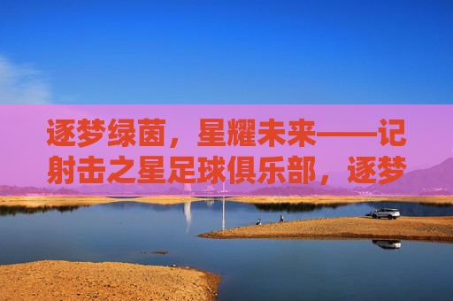 逐梦绿茵，星耀未来——记射击之星足球俱乐部，逐梦绿茵，星耀未来