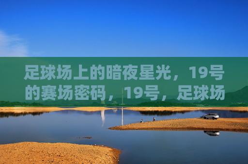 足球场上的暗夜星光,19号的赛场密码,19号,足球场上的星光密码