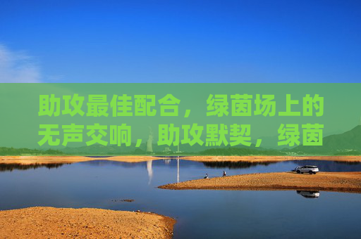 助攻最佳配合，绿茵场上的无声交响，助攻默契，绿茵无声交响