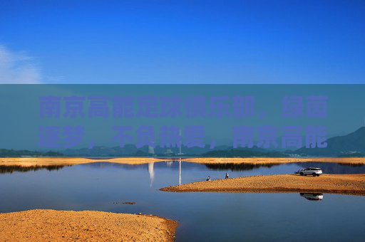 南京高能足球俱乐部,绿茵逐梦,不负热爱,南京高能,绿茵逐梦不负热爱