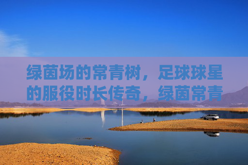 绿茵场的常青树,足球球星的服役时长传奇,绿茵常青树,足球球星的服役时长传奇