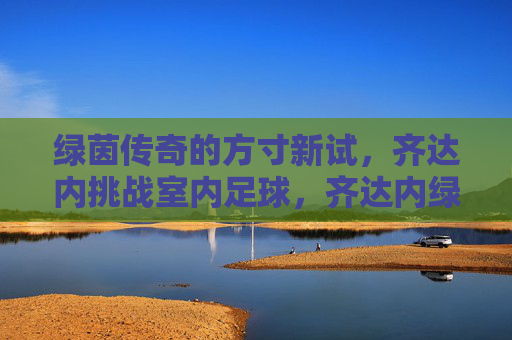 绿茵传奇的方寸新试,齐达内挑战室内足球,齐达内绿茵传奇方寸间挑战室内足球