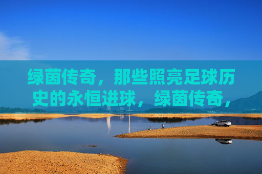 绿茵传奇,那些照亮足球历史的永恒进球,绿茵传奇,照亮历史的永恒进球