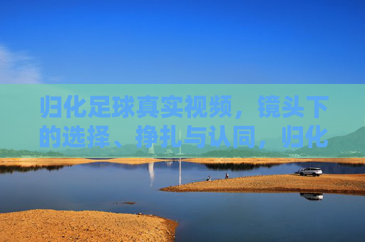 归化足球真实视频,镜头下的选择、挣扎与认同,归化足球,镜头下的选择、挣扎与认同