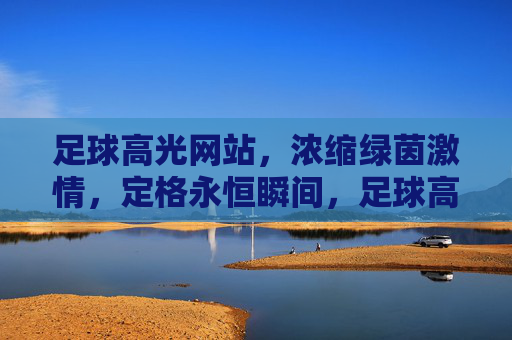 足球高光网站,浓缩绿茵激情,定格永恒瞬间,足球高光,浓缩绿茵激情,定格永恒瞬间