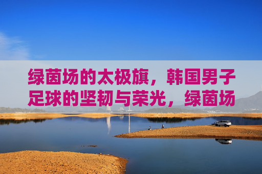 绿茵场的太极旗，韩国男子足球的坚韧与荣光，绿茵场太极旗，韩国男足的坚韧与荣光