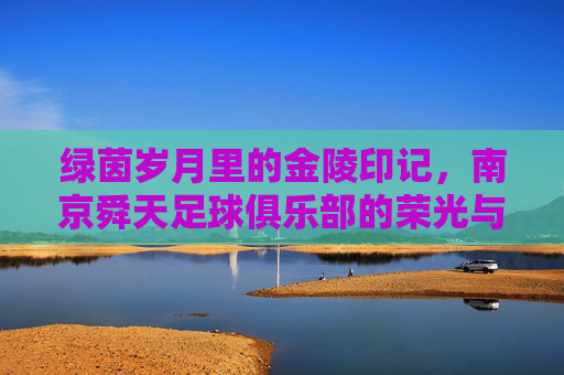 绿茵岁月里的金陵印记,南京舜天足球俱乐部的荣光与回响,南京舜天,金陵绿茵岁月的荣光回响